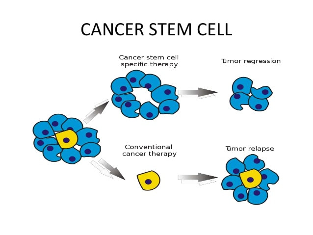 stem cell treatment for cancer